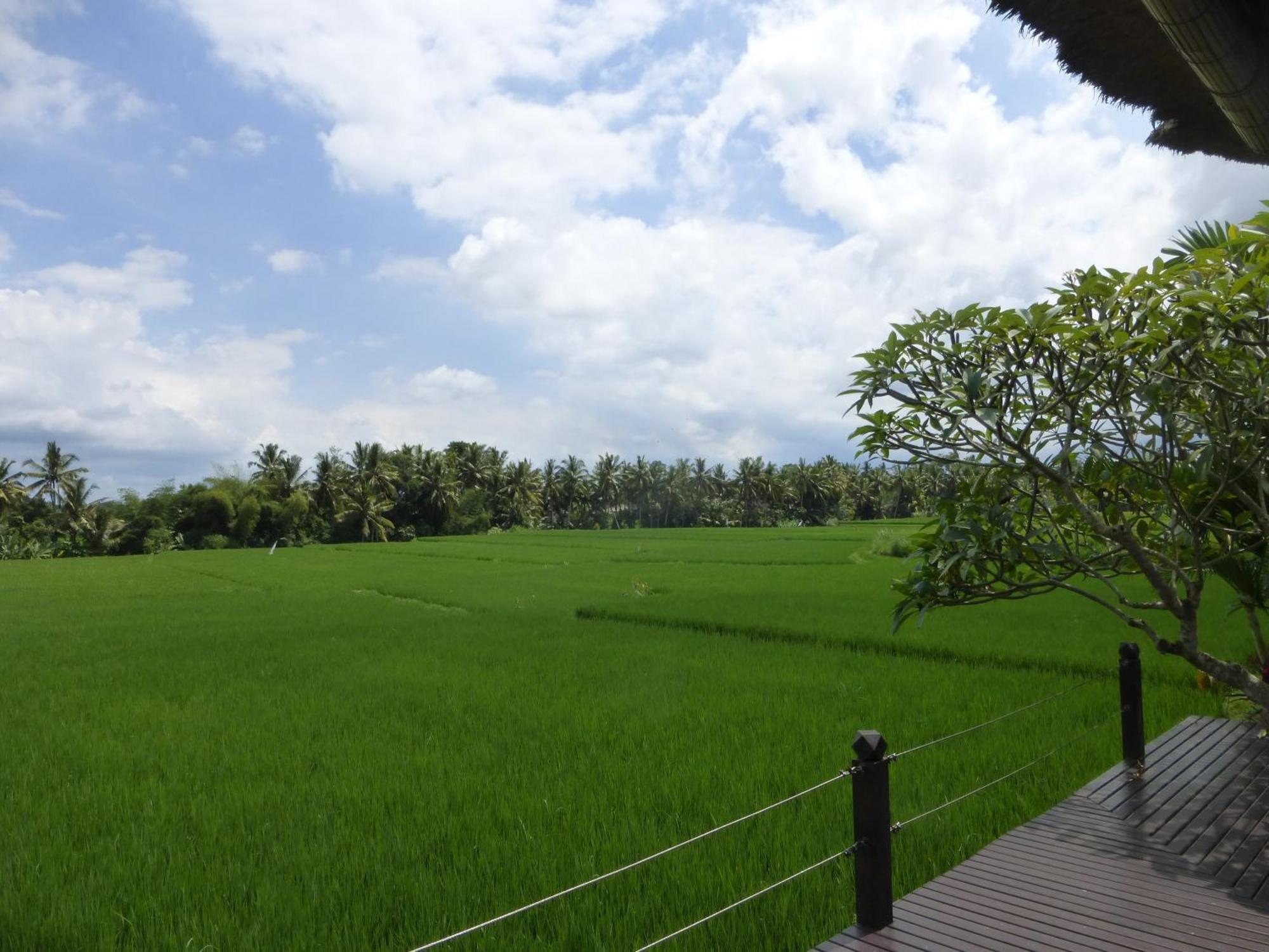 Bali Harmony Villa Ubud Kamer foto