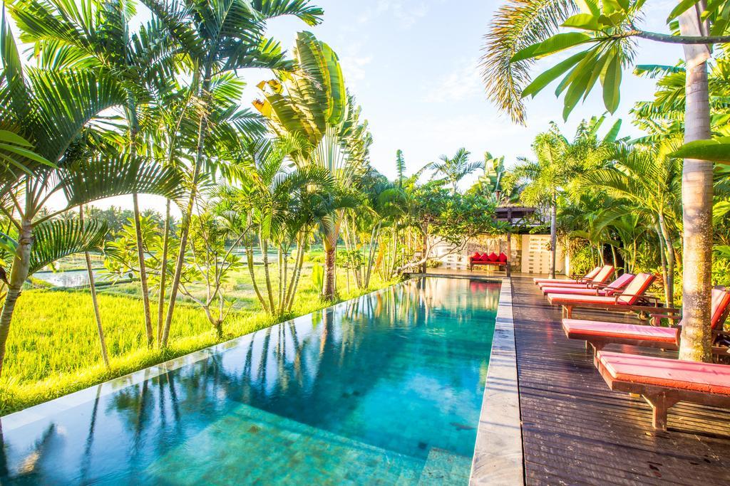 Bali Harmony Villa Ubud Buitenkant foto