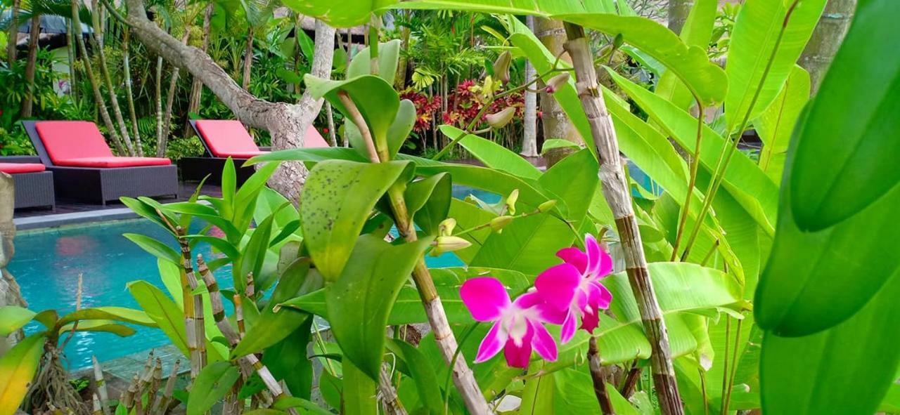 Bali Harmony Villa Ubud Buitenkant foto