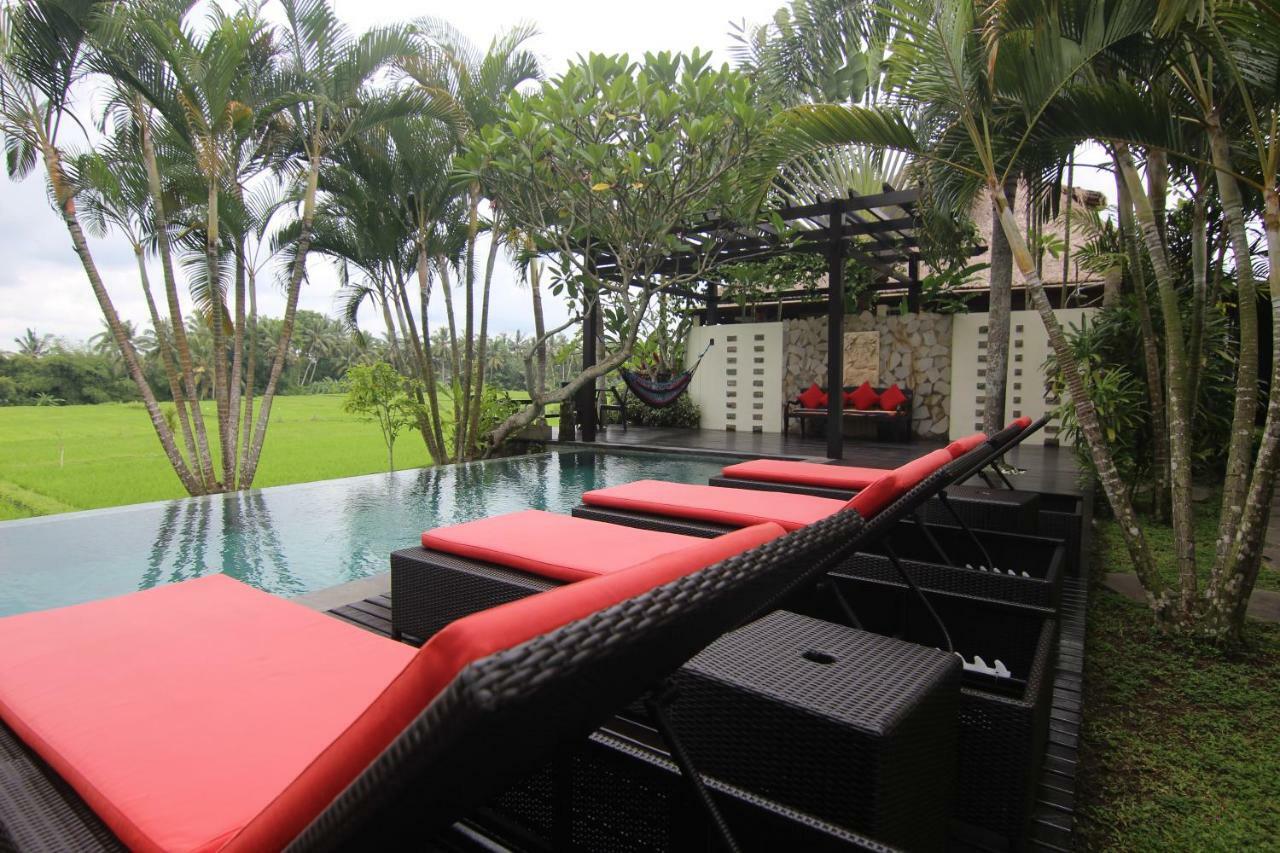 Bali Harmony Villa Ubud Buitenkant foto