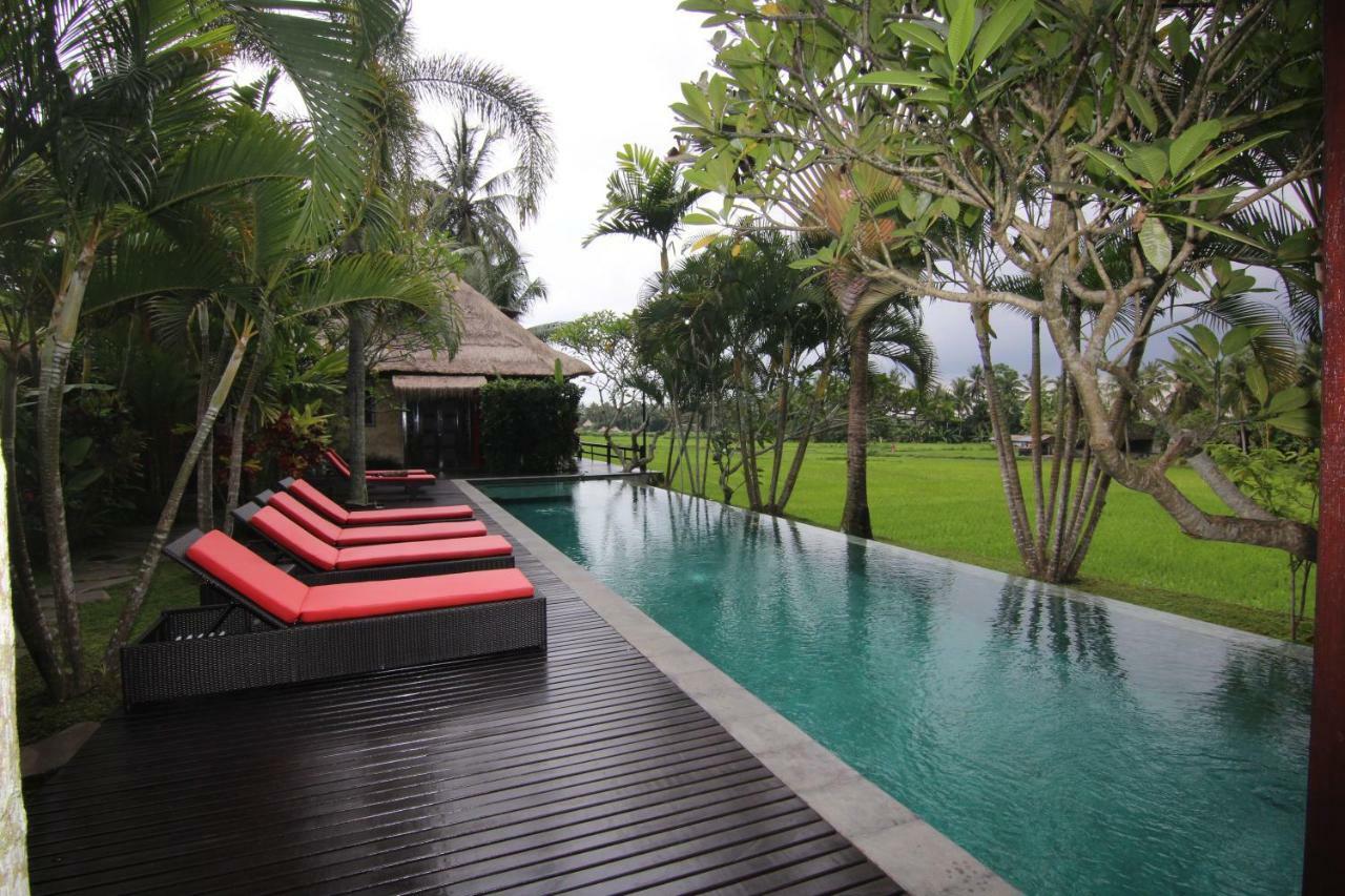 Bali Harmony Villa Ubud Buitenkant foto